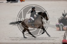 ref. photo 3402763