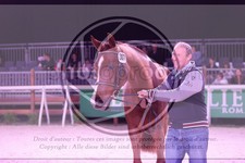 ref. photo 3402789