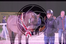 ref. photo 3402939