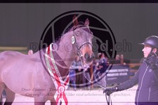 ref. photo 3402946