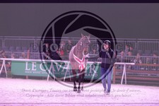ref. photo 3402951