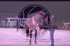 ref. photo 3402955