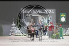 ref. photo 3402990