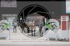 ref. photo 3402995