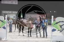 ref. photo 3403002