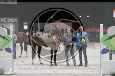 ref. photo 3403005