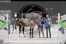 ref. photo 3403006