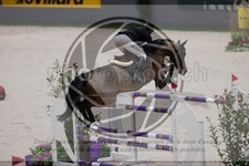ref. photo 3403024