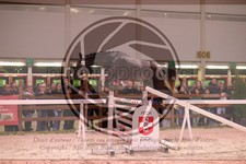 ref. photo 3403040