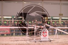 ref. photo 3403042