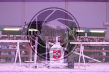 ref. photo 3403044