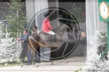 ref. photo 3403069