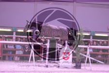 ref. photo 3403101
