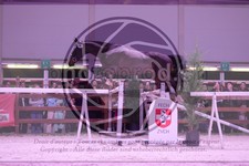 ref. photo 3403103