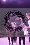 ref. photo 3403106