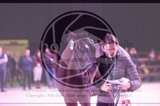 ref. photo 3403115