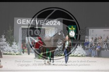 ref. photo 3403127