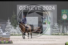 ref. photo 3403173