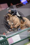 ref. photo 3403212