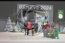 ref. photo 3403247