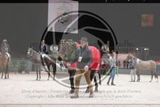 ref. photo 3403251
