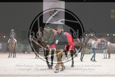ref. photo 3403252