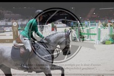 ref. photo 3399304