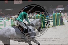 ref. photo 3399305