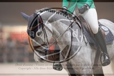 ref. photo 3399320