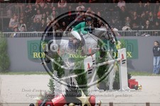 ref. photo 3399327