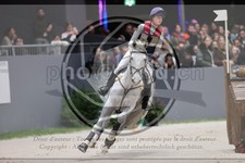 ref. photo 3399335