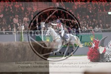 ref. photo 3399344
