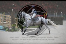 ref. photo 3399364
