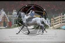 ref. photo 3399365