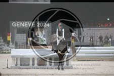 ref. photo 3399439