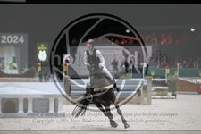 ref. photo 3399440