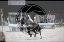 ref. photo 3399441