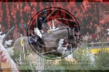 ref. photo 3399531