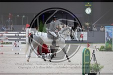 ref. photo 3399567