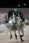 ref. photo 3399602