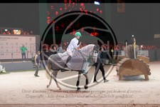 ref. photo 3399615