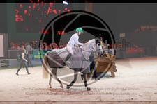 ref. photo 3399616