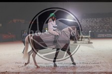 ref. photo 3399617