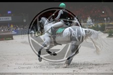 ref. photo 3399621