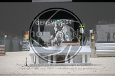 ref. photo 3399623