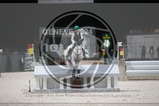ref. photo 3399624