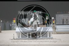 ref. photo 3399625