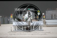 ref. photo 3399626