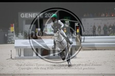 ref. photo 3399628