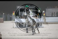 ref. photo 3399630